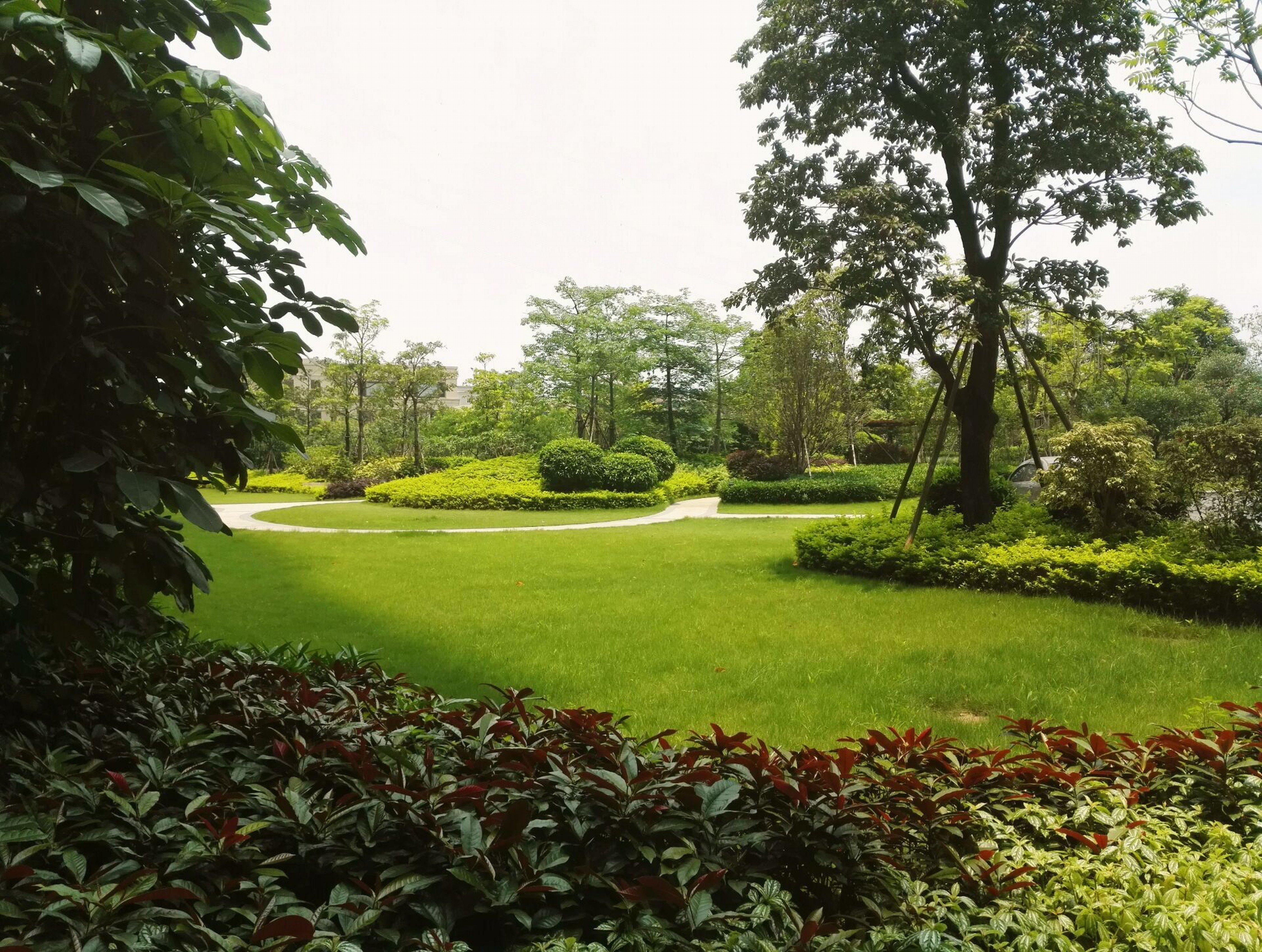 Crowne Plaza Guangzhou Zengcheng By Ihg- Canton Fair Free Shuttle Bus מראה חיצוני תמונה